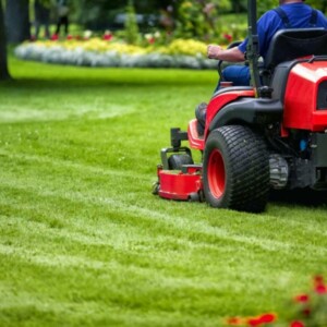 Rasen mähen Tipps Pflege Frühjahr vertikutieren düngen Blumen