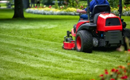 Rasen mähen Tipps Pflege Frühjahr vertikutieren düngen Blumen