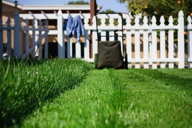 Rasen mähen Tipps Tricks Frühjahr Pflege Gartenzaun weiße Farbe