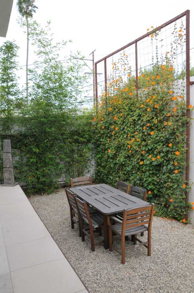 Terrassen Sichtschutz preiswert gestaltung Kletterpflanzen