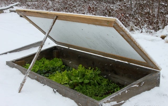 Gemüsebeeten anlegen Wind schützen Gewächshaus selber bauen