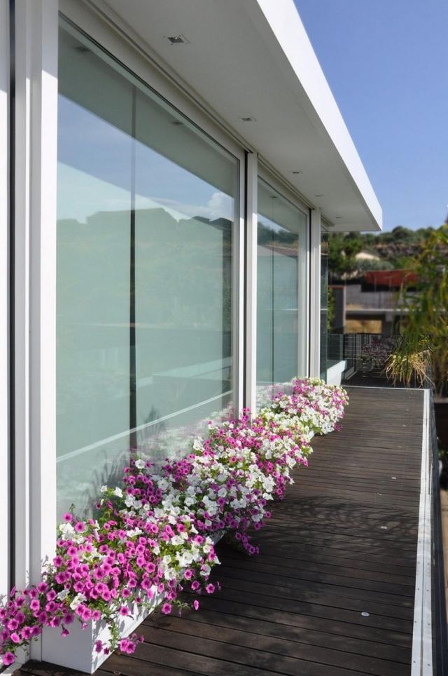 balkon deko pflanzen kübel reihe blumen idee
