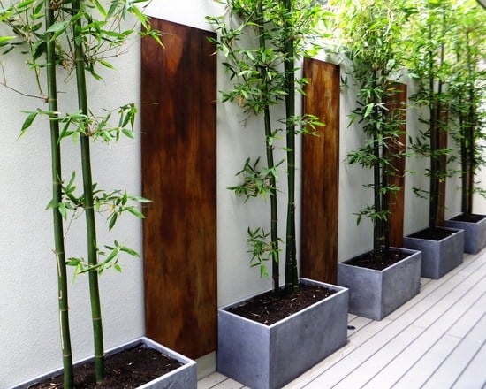 bambuspflanzen kübel beton optik moderne terrasse