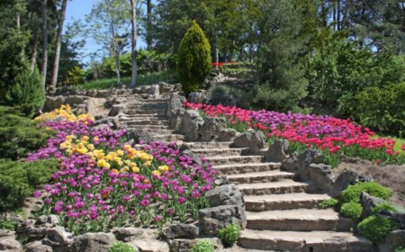 gartentreppen bauen bunt beete stein material immergruen