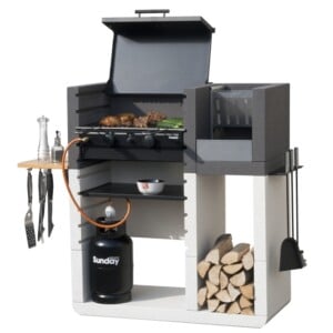 gasgrill für garten-holzkohle zubehöt emo design