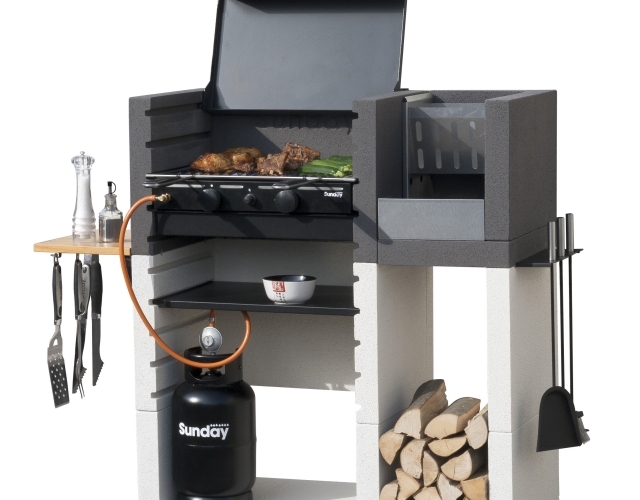 gasgrill für garten-holzkohle zubehöt emo design