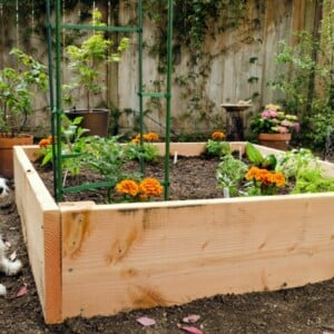 Ideen für Gartengestaltung