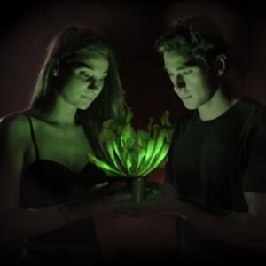 genetisch-veranderte-pflanze-leuchtet-bioglow-starlight-avatar