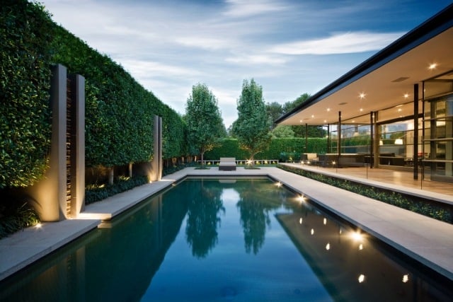 heckenpflanzen sichtschutz-minimalistisches haus Garten-mit schwimmbecken