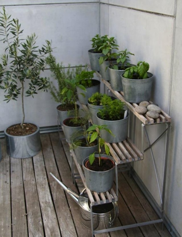 ideen balkon pflanzen ständer terrassiert kräuter gemüse