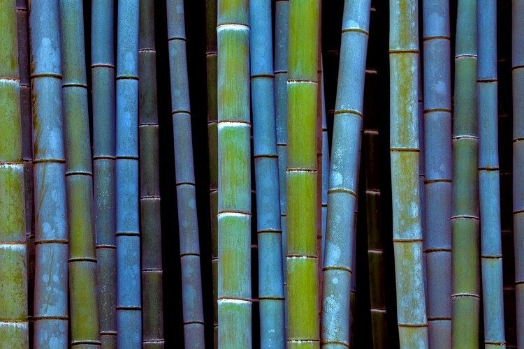 ideen-bambusstangen-deko-blau-gestrichen