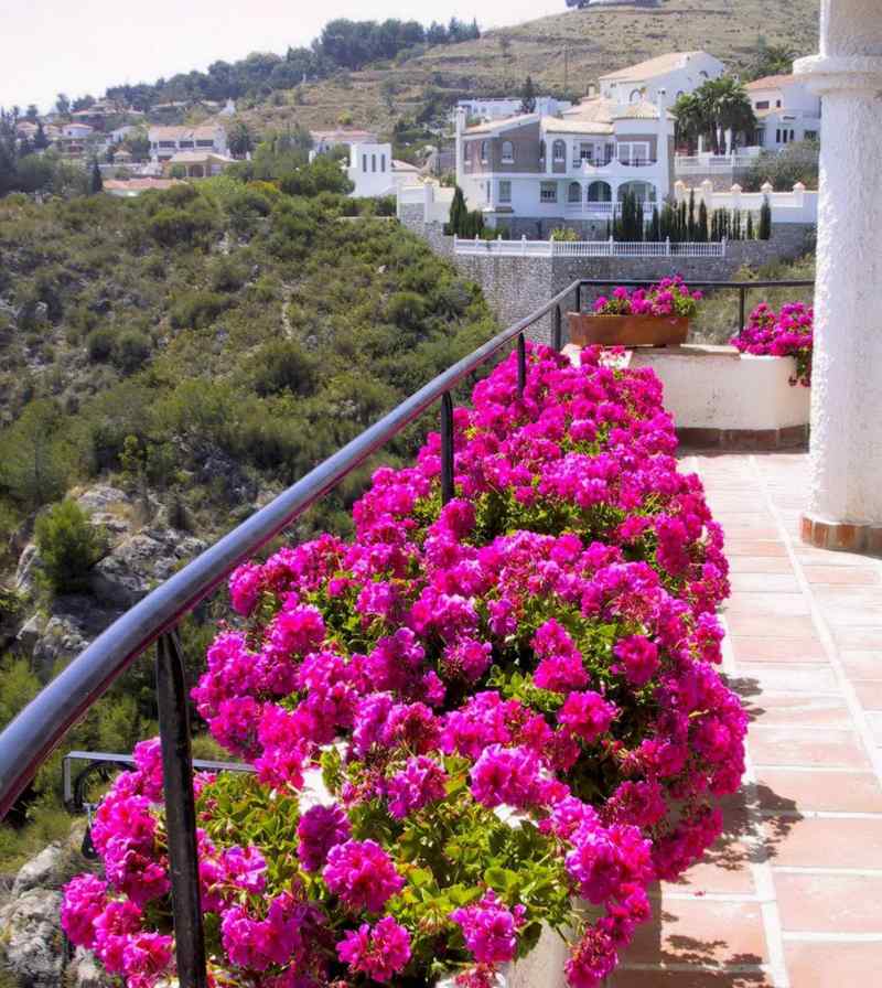 ideen für balkongestaltung pink blueten blumen mediterran blumenkaesten ueppig