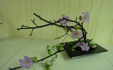 ikebana-blumenkunst-aktuell-dekoration-verbindung-zwischen-menschlichem-geist-und-natur