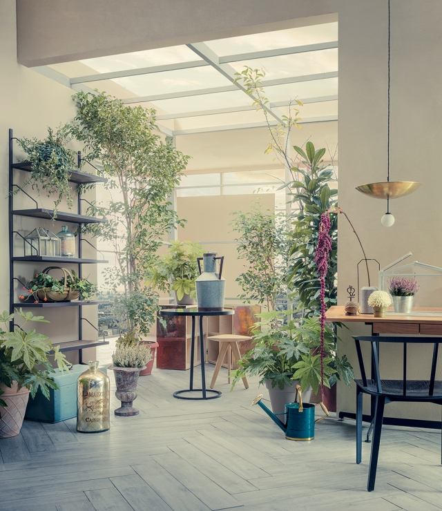 indoor Garten gestalten ideen kübelpflanzen Töpfe-Tisch Stühle