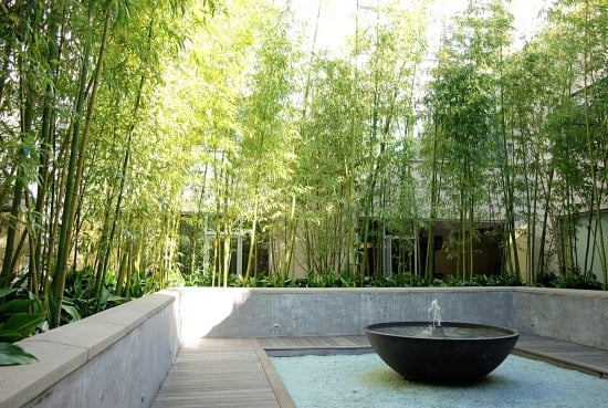innenhof wasserbrunnen bambus pflanzen sichtschutz