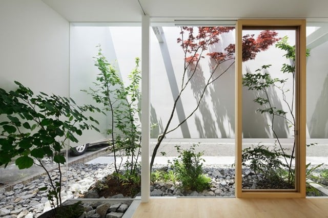  Bonsai Baum Steine weiße Mauerwand Holzboden Belag Glas Schiebetür