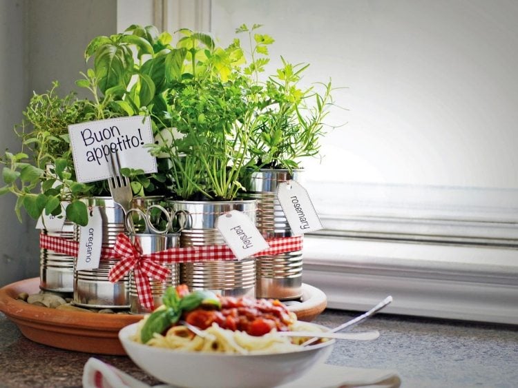 krauter-balkon-pflanzen-blechdosen-deko-miniatur-garten-spagetti