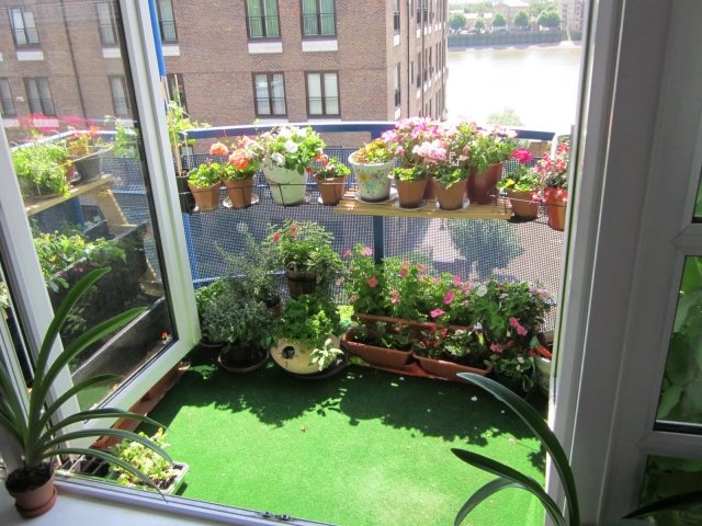 kunstrasen balkon bodenbelag topfpflanzen geländer