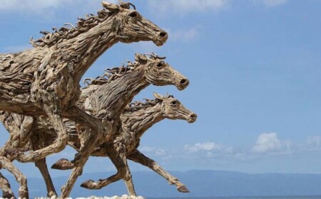 lebensgroße treibholz pferde skulpturen-rennen am strand