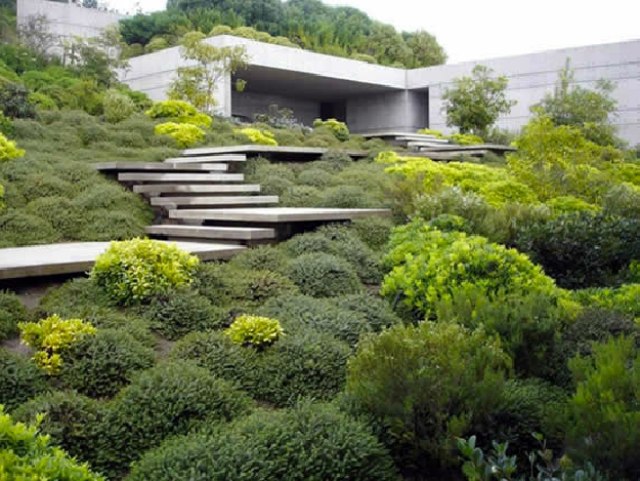 flachdachhaus beton mit Garten-Überwuchert Treppe -design