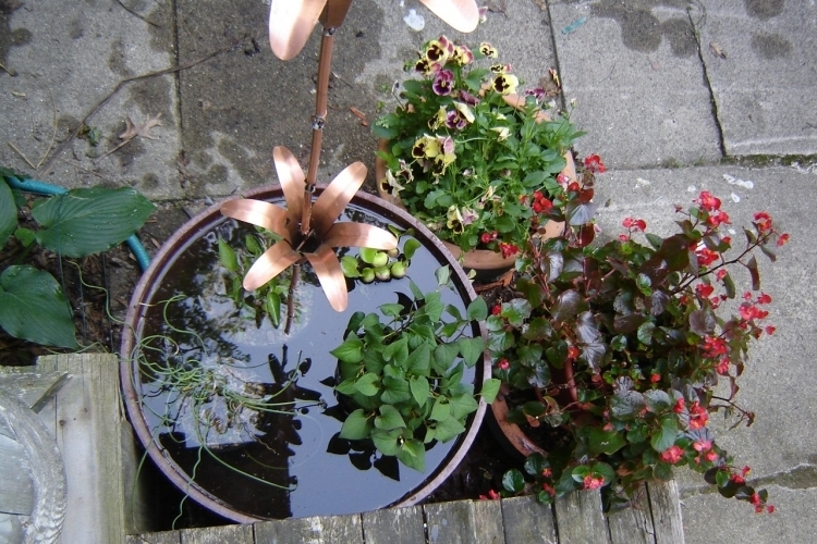 Miniteich anlegen kleine Oase auf dem Balkon kreieren