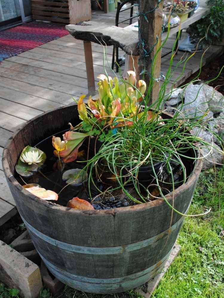 Miniteich anlegen -fass-holz-pflanzen-wasser-wasserlilien-outdoor-idee