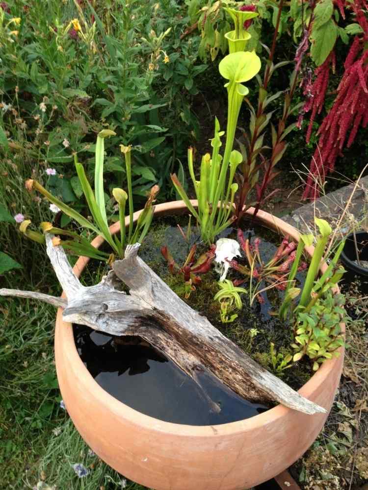 Miniteich anlegen -treibholz-pflanzen-outdoor-pflanzenkuebel-terrakotta
