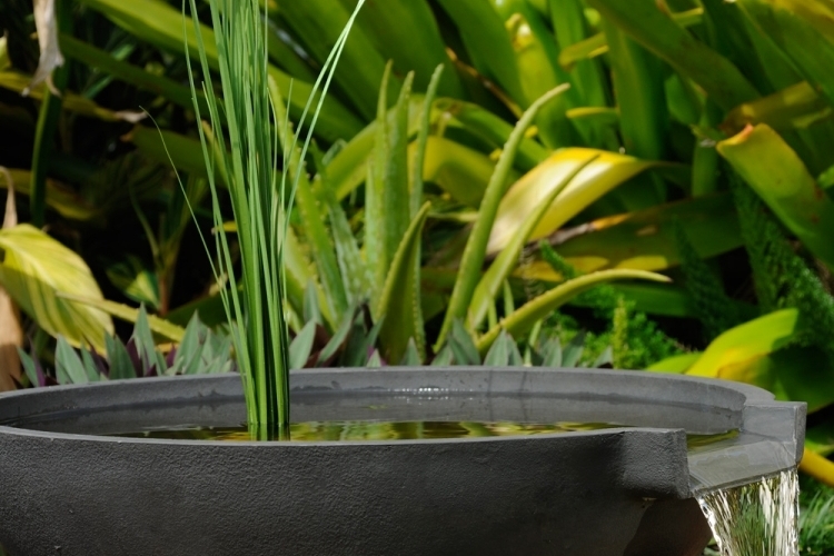 Miniteich anlegen kleine Oase auf dem Balkon kreieren