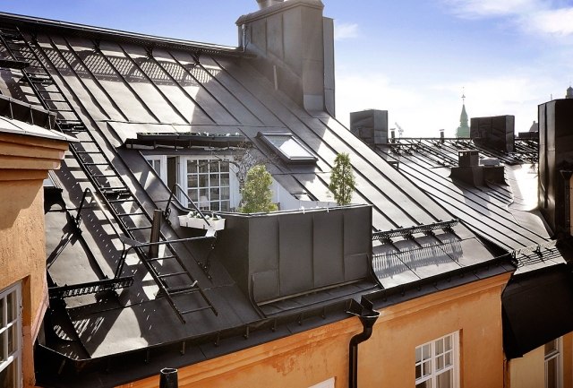 Dachwohnung mit balkon möbliert-Skandinavischer Stil