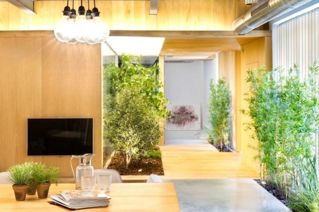 moderne loftwohnung innengarten bambuspflanzen holz beton