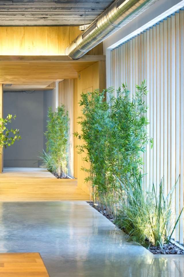 umgebaut loftwohnung innengarten betonboden holz bambuspflanzen