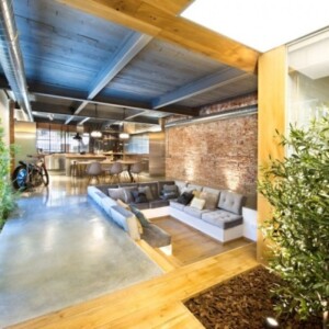 moderne-loftwohnung-innengarten-wohnbereich-kueche-offen-bambuspflanzen