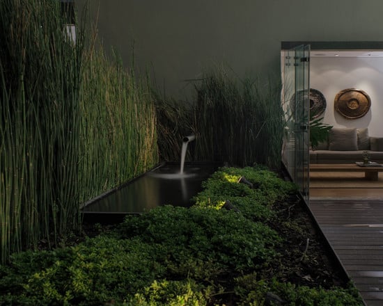 moderne terrasse bambuspflanzen arten wasserspiel beleuchtung nacht