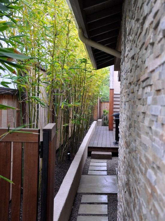 haus gehweg bambuspflanzen kies steinplatten