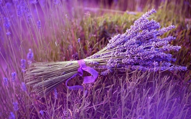 positive Wirkung von Lavendel pflege bündel
