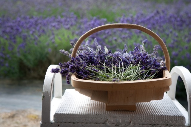 positive Wirkung von Lavendel pflege holz korb