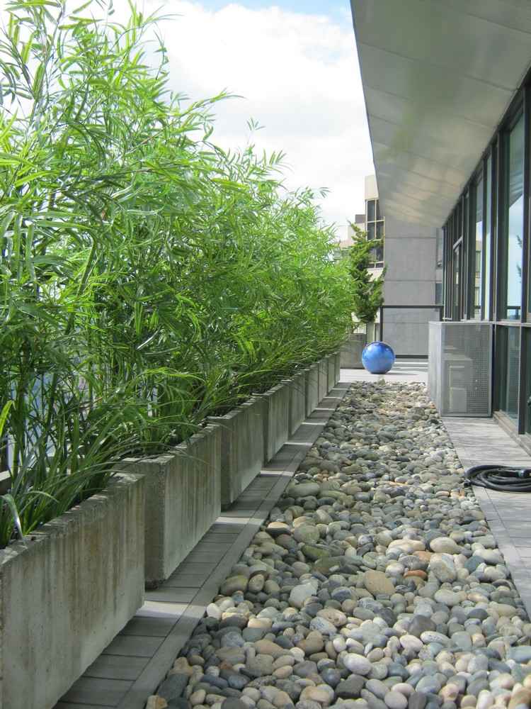 sichtschutz-balkon-pflanzen-beton-pflanzkuebel-kies