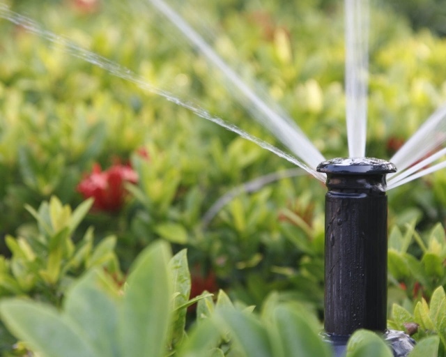 sprinkler anlage-bewässerung system-Garten pflege tipps rasen