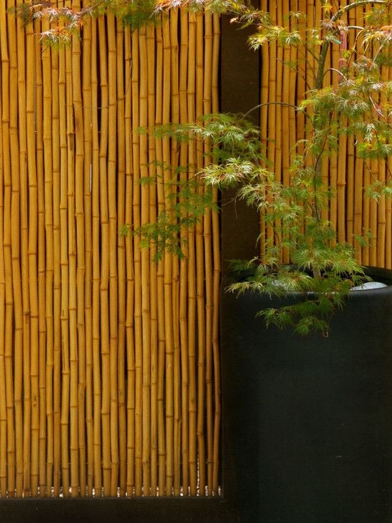 terrasse bambus stöcke sichtschutz idee zen