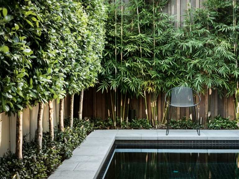 terrassen-sichtschutz mit pflanzen baeume bambus idee zaun deko pool