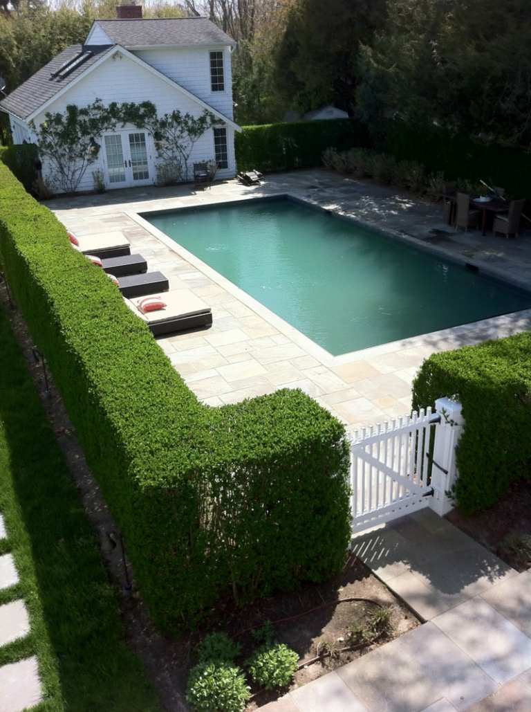 terrassen-sichtschutz mit pflanzen hecke idee tor weiss holz pool privatsphaere