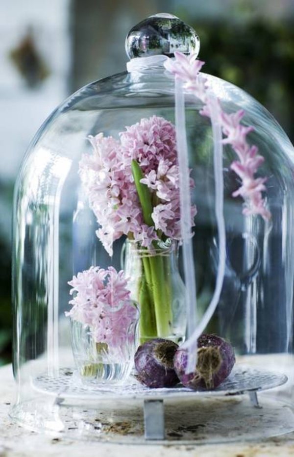 tisch dekoration-frühlingsblumen hyazinthe-glasdeckel