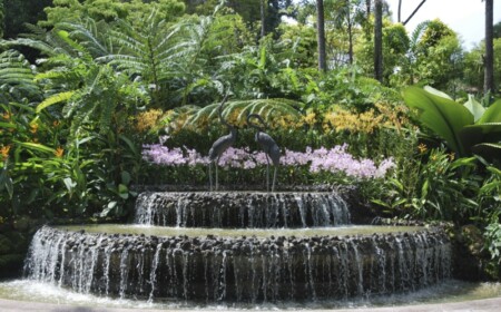 wasser im garten modern wasserfall terrassen exotisch bepflanzung teich