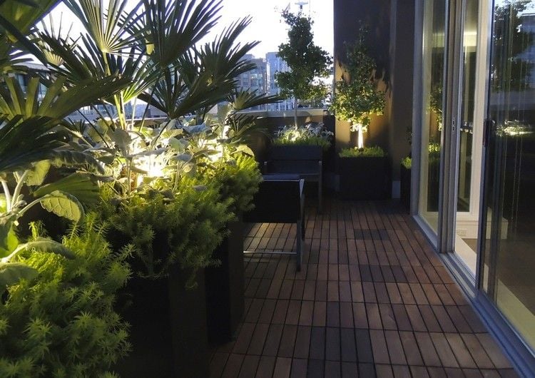 Windschutz für den Balkon gruene-pflanzen-palmen-pflanzkuebel-holz-bodenfliesen