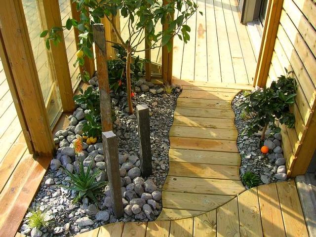 Pflanzen im Wintergarten ideen design holz dielenboden steine