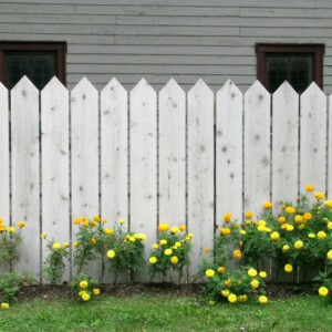 Zaun für den Garten