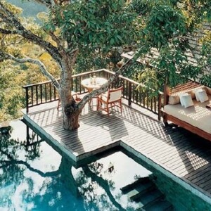 Baum-für-den-Garten-modern-lounge-möbel-bett-liegestuhl-pool-sitzbereich