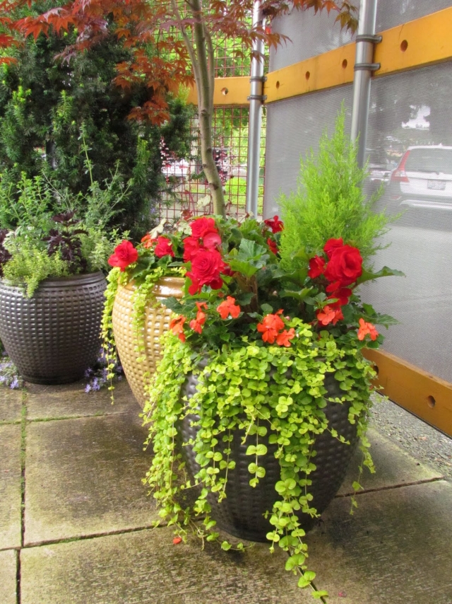 Blumentöpfe kombinieren Terrasse gestalten spätsommer dekoration