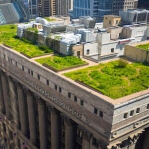 Chicago nachhaltige dachbegrünung Architekturtrend