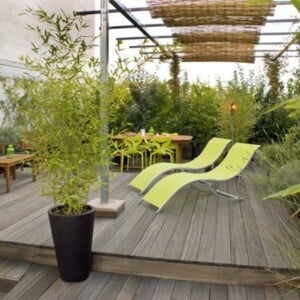 Dachterrasse Windschutz Liegesessel grüne Farbe Pflanzkübel Bambus
